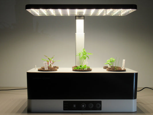 Quick Setup Video: Garden Gizmo Little Sun