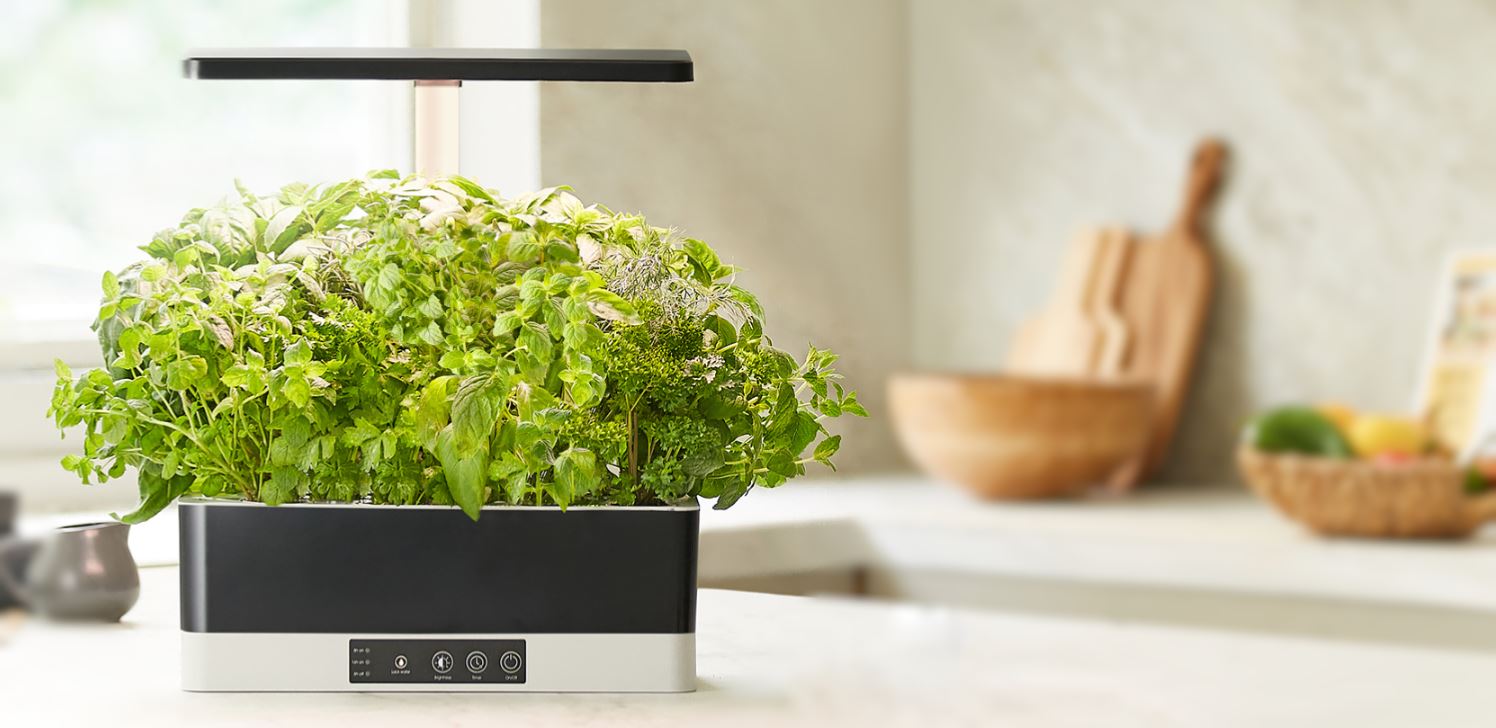 A Garden Gizmo indoor hydroponic garden effortlessly enhances the modern and attractive ambiance of a stylish kitchen. The sleek design seamlessly integrates into the decor, with clean lines and a compact footprint. Lush green herbs and vibrant vegetables thrive within the self-contained system, illuminated by integrated LED lights. A testament to the fusion of functionality and aesthetics, bringing the joy of gardening indoors while adding a touch of contemporary elegance to the kitchen space.