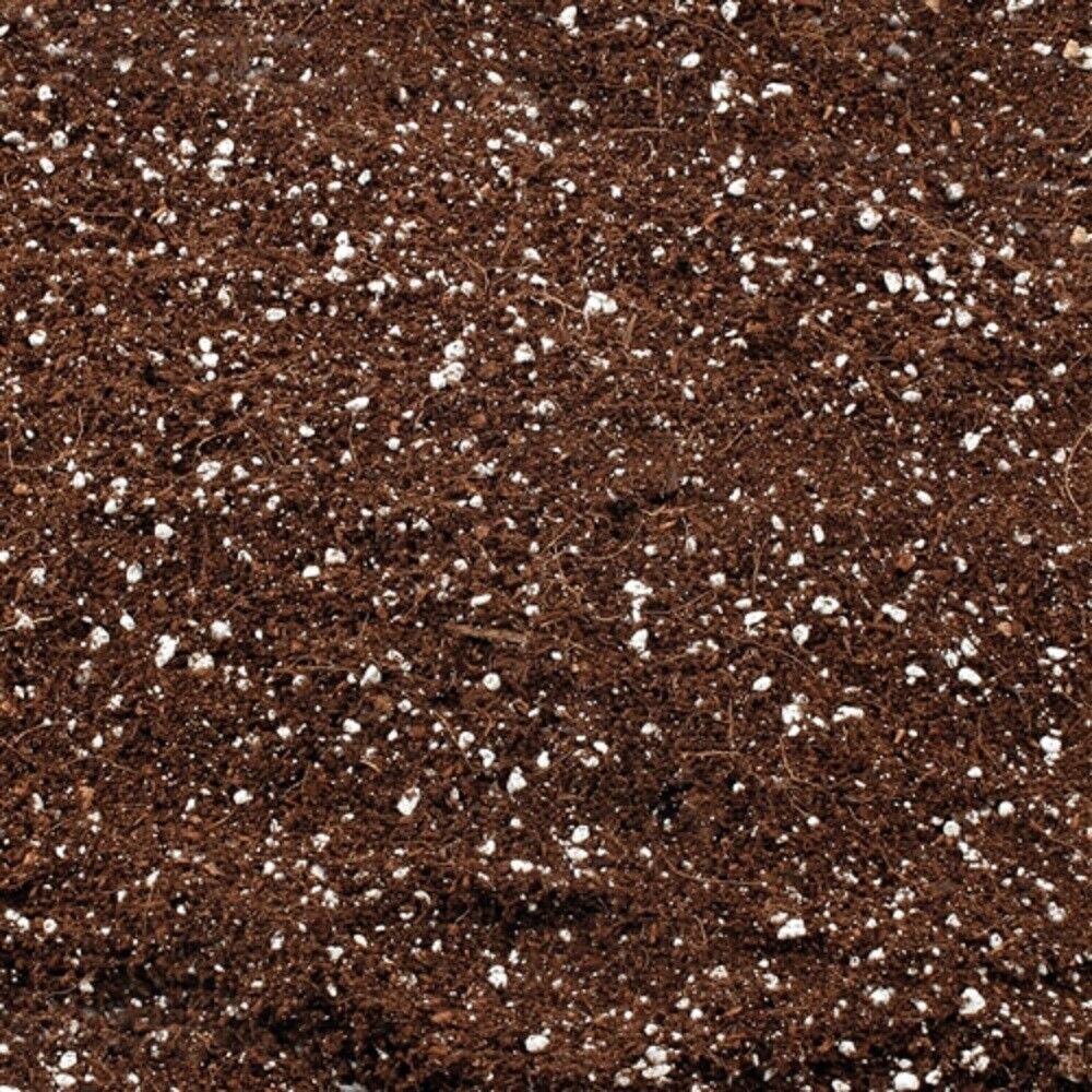 Coco Perlite Grow Medium 4ltr