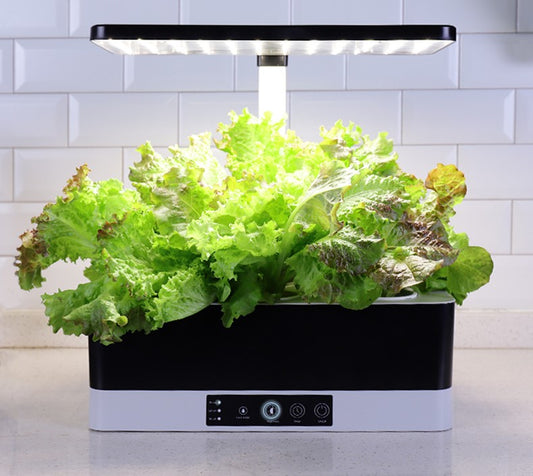 Growing Food Indoors - Not Just Lettuce