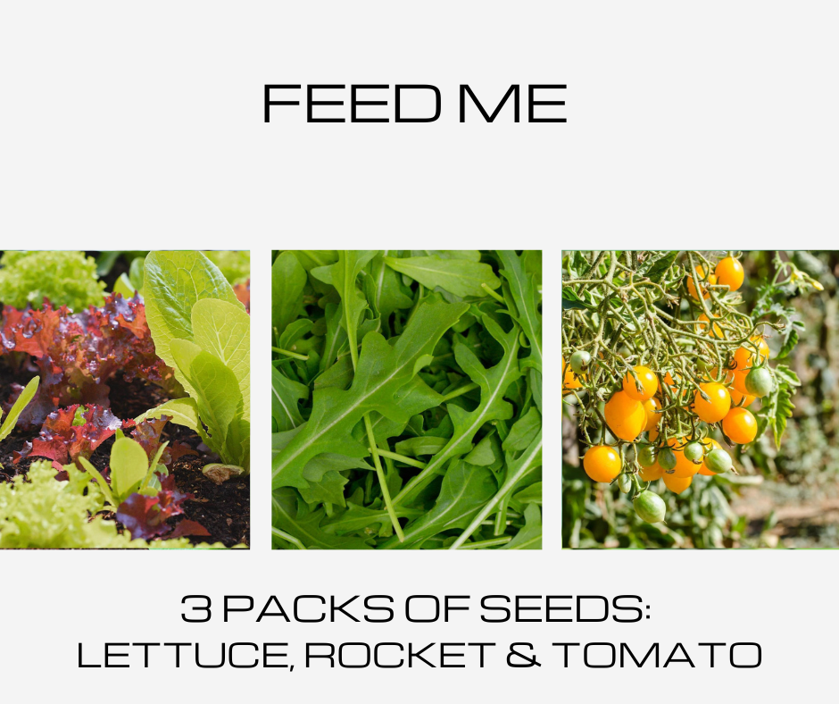Feed Me - 3 Packets of Seeds:  Tomato - Gold Nugget, Rocket, Loose Leaf Lettuce