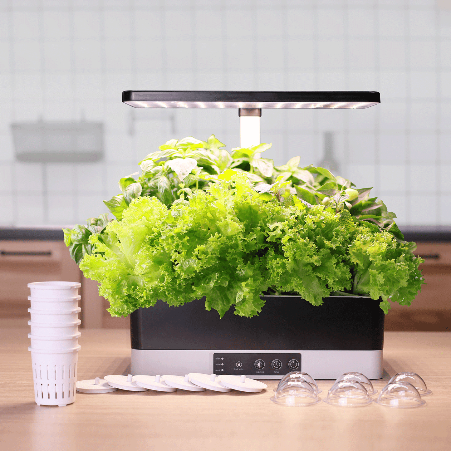 Indoor Hydro Garden with Ultimate Pack and Express Shipping