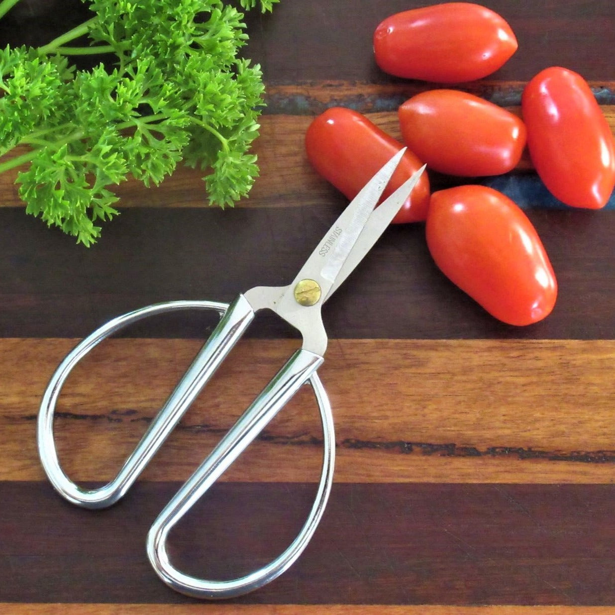 Ergonomic Pruning Scissors