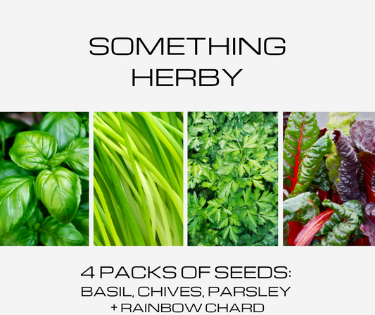 Something Herby - 4 Packets of Seeds: Basil, Chives, Parsley & Rainbow Chard