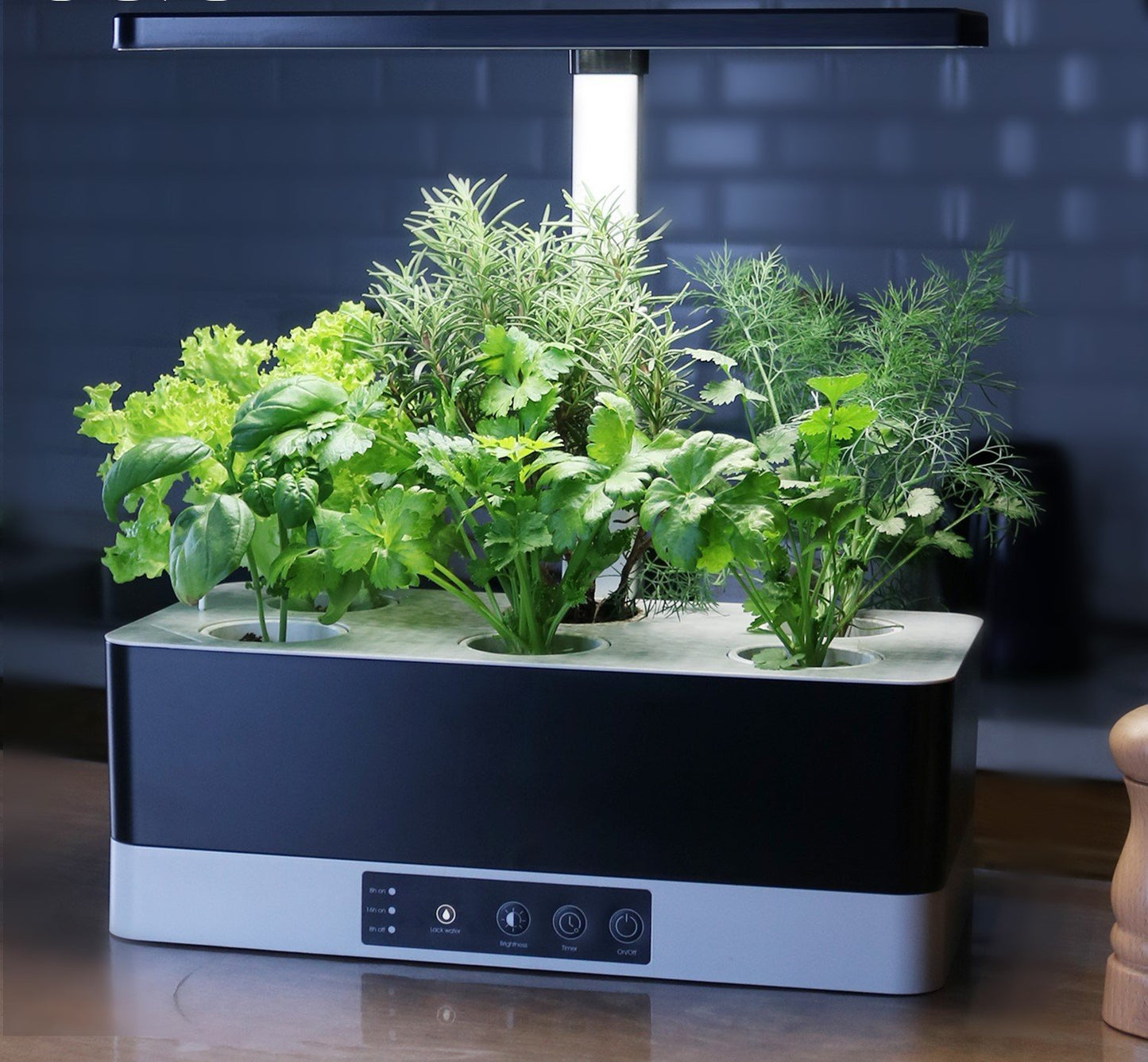 Indoor Hydro Garden with Germinator Pack and Express Shipping