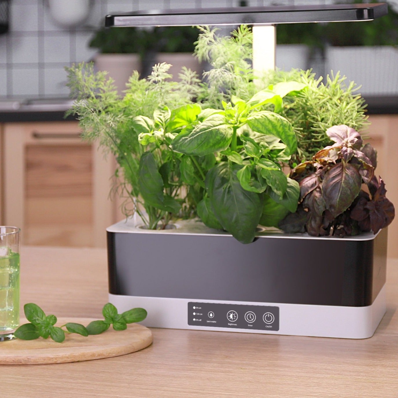Indoor Hydro Garden with Essentials Pack and Shipping